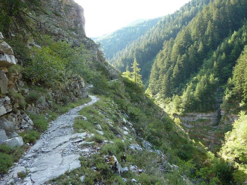congerman_2011_073.jpg