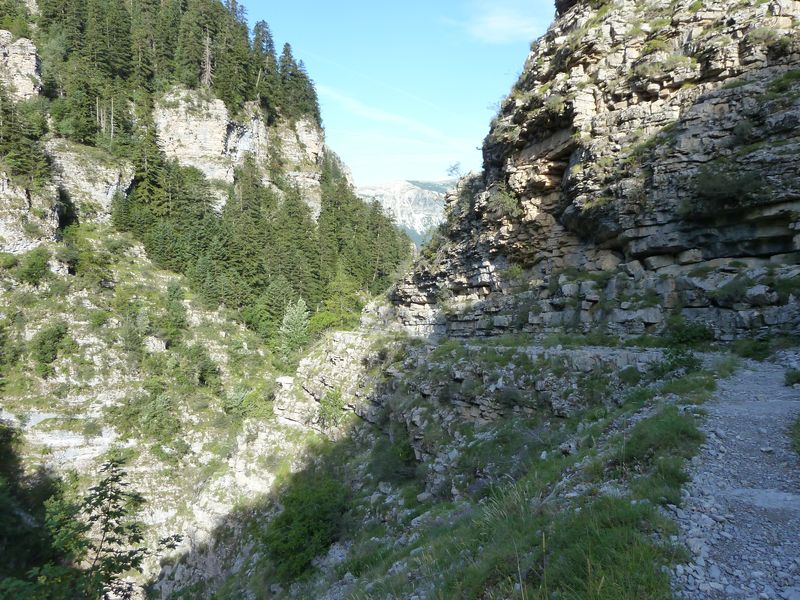 congerman_2011_075.jpg