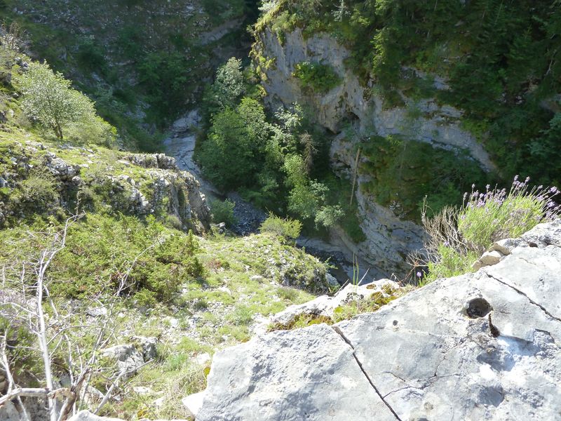 congerman_2011_079.jpg