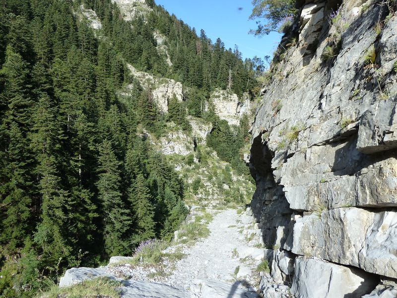 congerman_2011_081.jpg