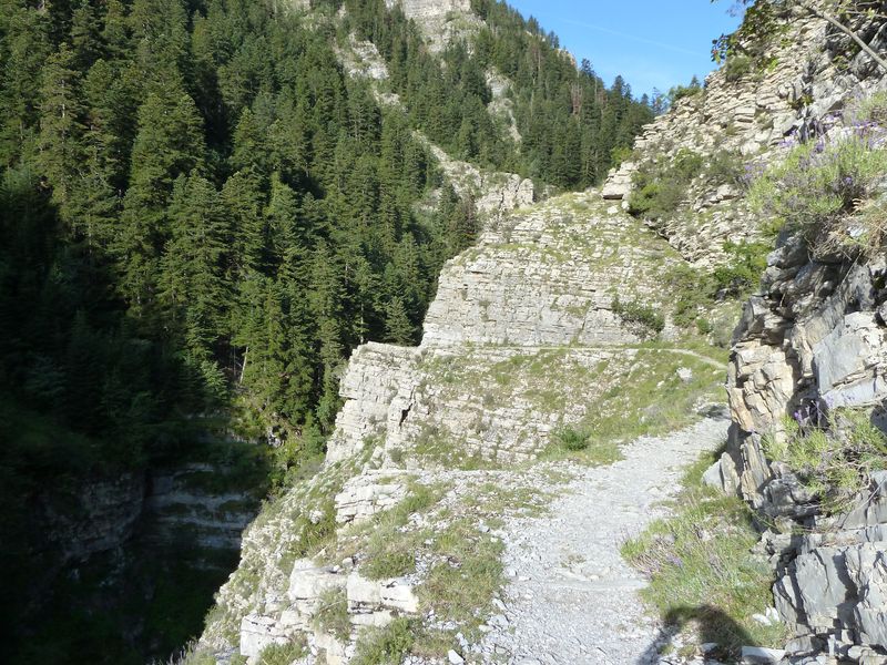congerman_2011_083.jpg
