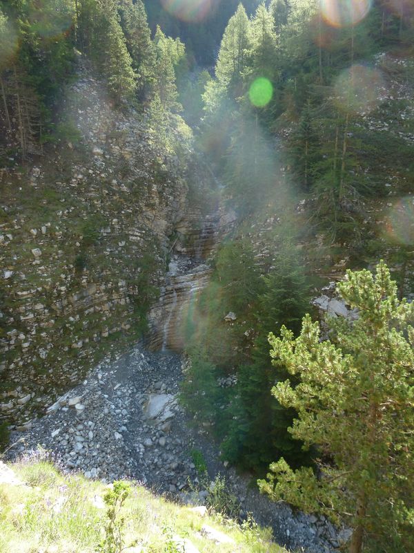 congerman_2011_085.jpg