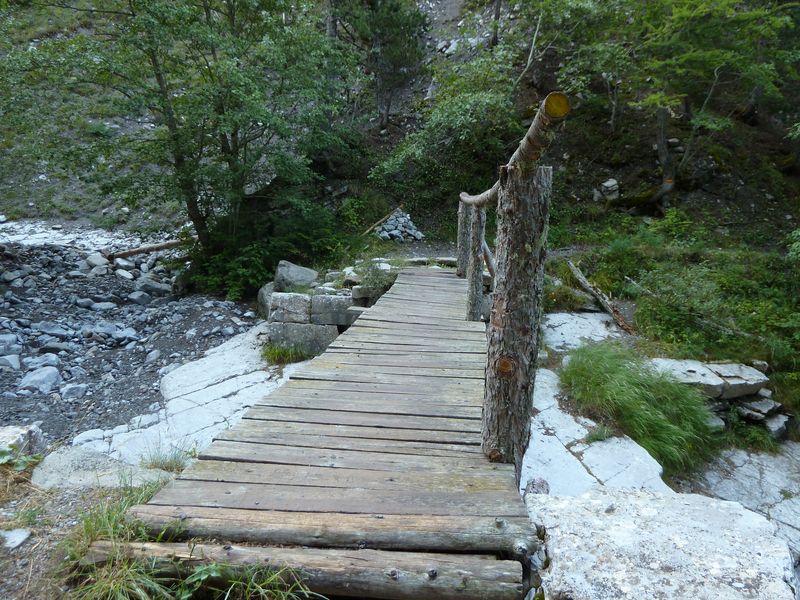 congerman_2011_091.jpg