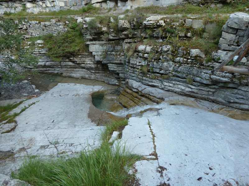 congerman_2011_095.jpg