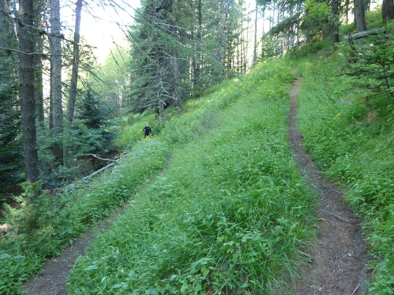congerman_2011_099.jpg