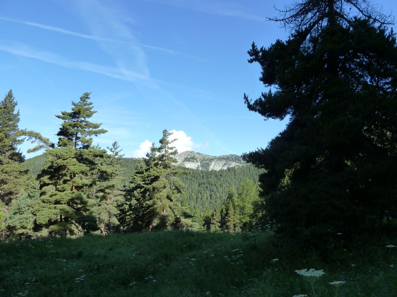 congerman_2011_103.jpg