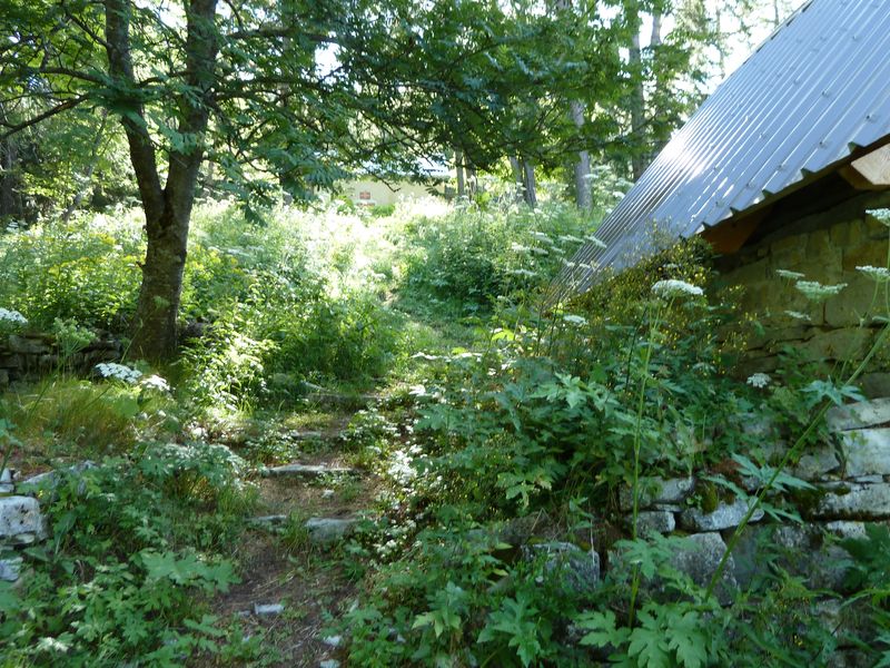 congerman_2011_107.jpg