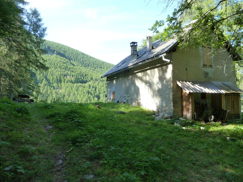 congerman_2011_113.jpg
