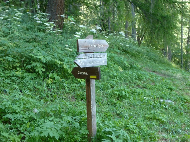 congerman_2011_115.jpg