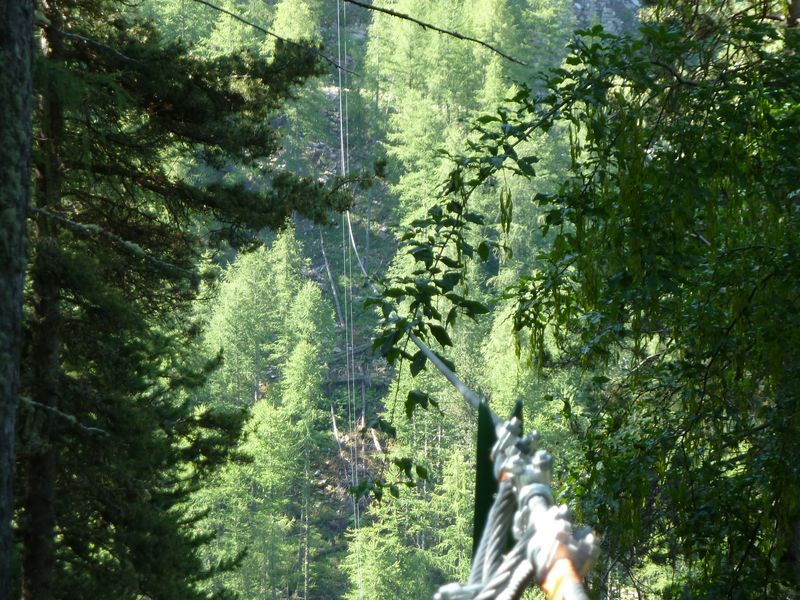 congerman_2011_131.jpg