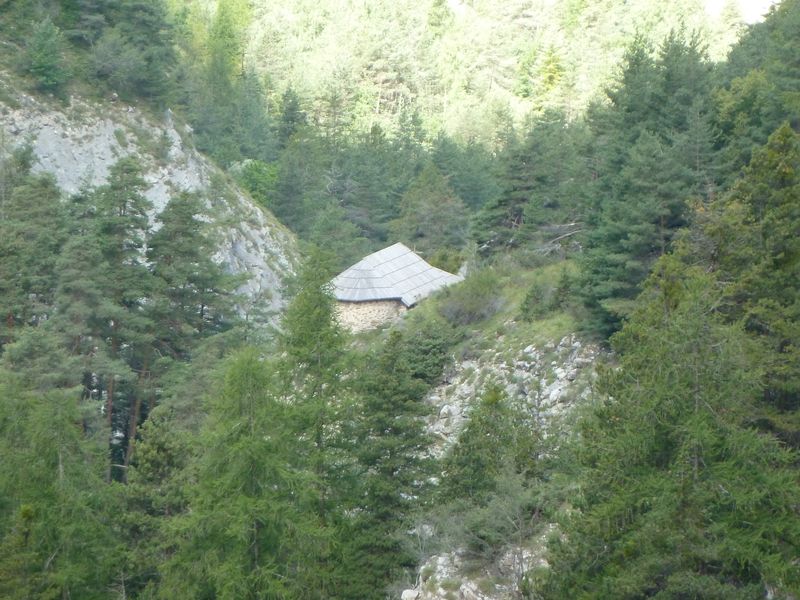 congerman_2011_139.jpg