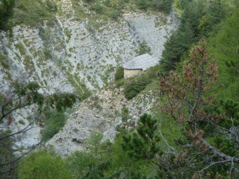 congerman_2011_141.jpg