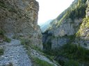 congerman_2011_029.jpg