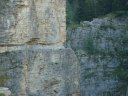 congerman_2011_035.jpg