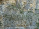 congerman_2011_039.jpg