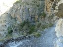 congerman_2011_051.jpg