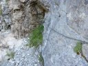 congerman_2011_061.jpg