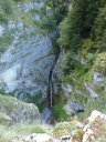 congerman_2011_067.jpg
