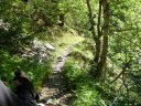 congerman_2011_087.jpg