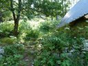 congerman_2011_107.jpg