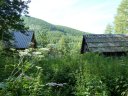 congerman_2011_109.jpg
