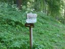 congerman_2011_115.jpg