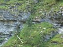 congerman_2011_135.jpg