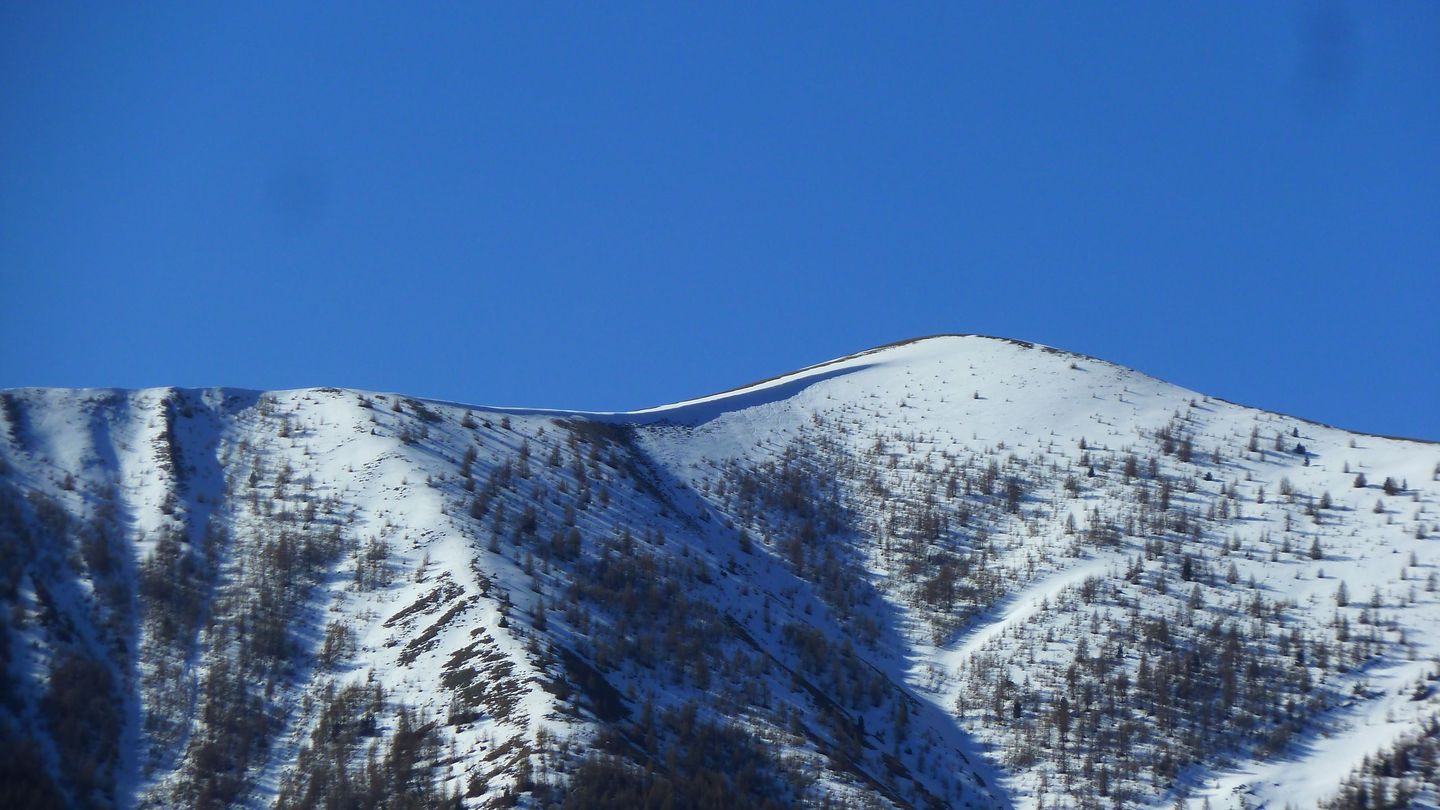 cotage_soleil_avr_2017_029.JPG