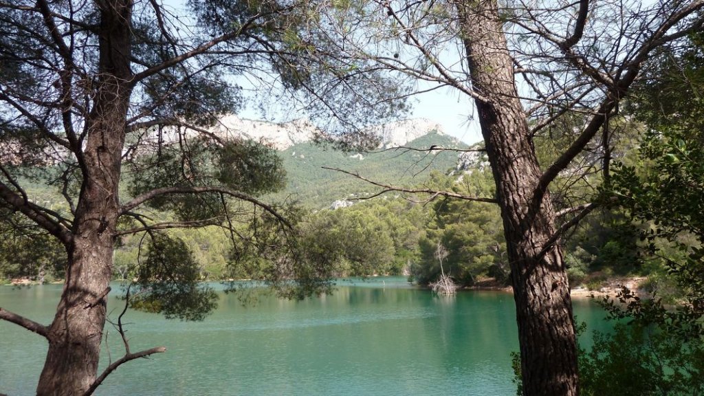 coudon_revest_juin_2012_052.jpg