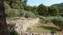 coudon_revest_juin_2012_012.jpg