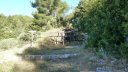 coudon_revest_mai_2017_05.JPG