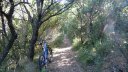 coudon_revest_mai_2017_09.JPG