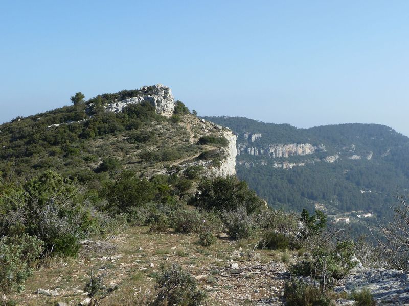 coudon_avril_2012_036.jpg