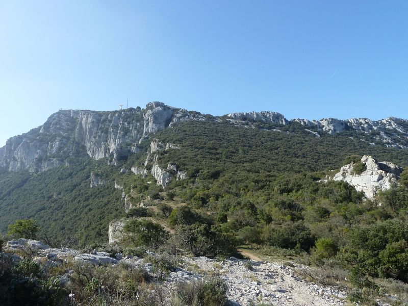 coudon_avril_2012_038.jpg