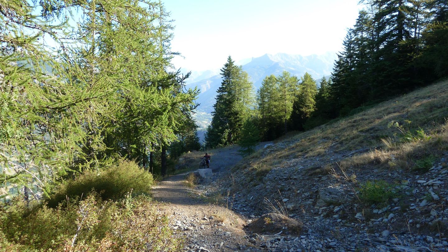 couguyon_2017_073.JPG