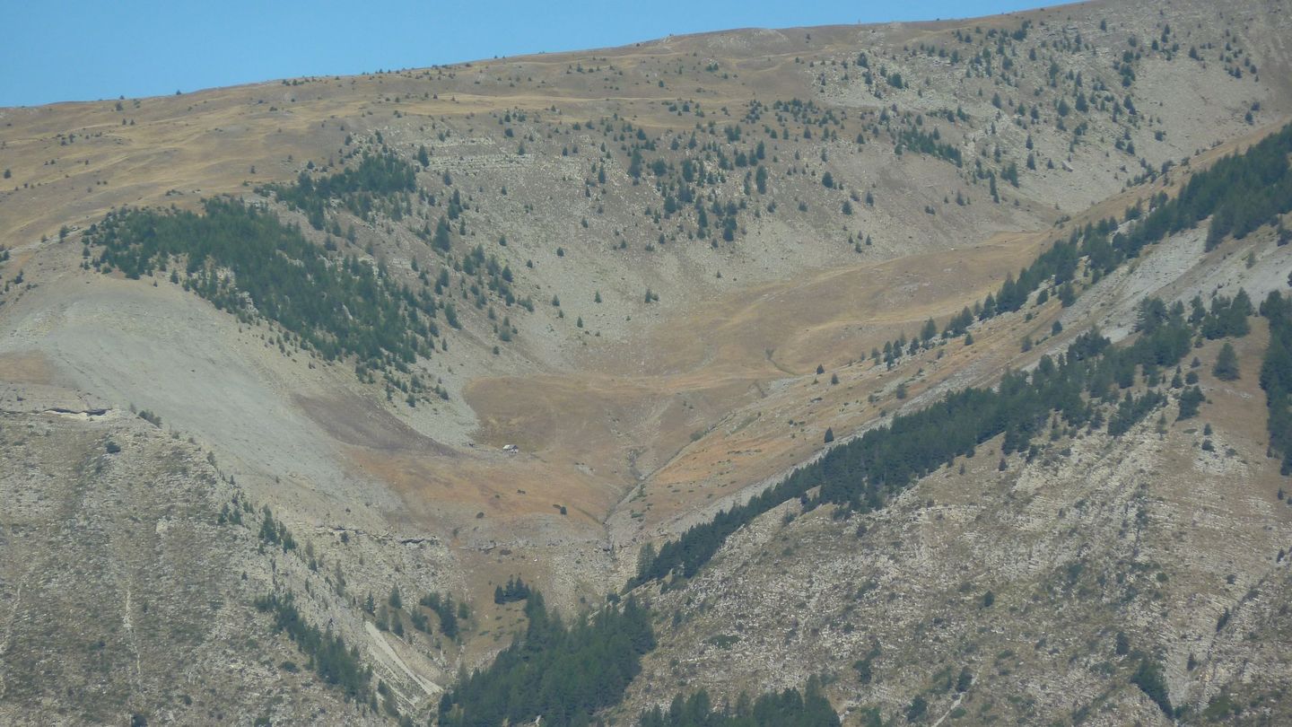 couguyon_2017_085.JPG
