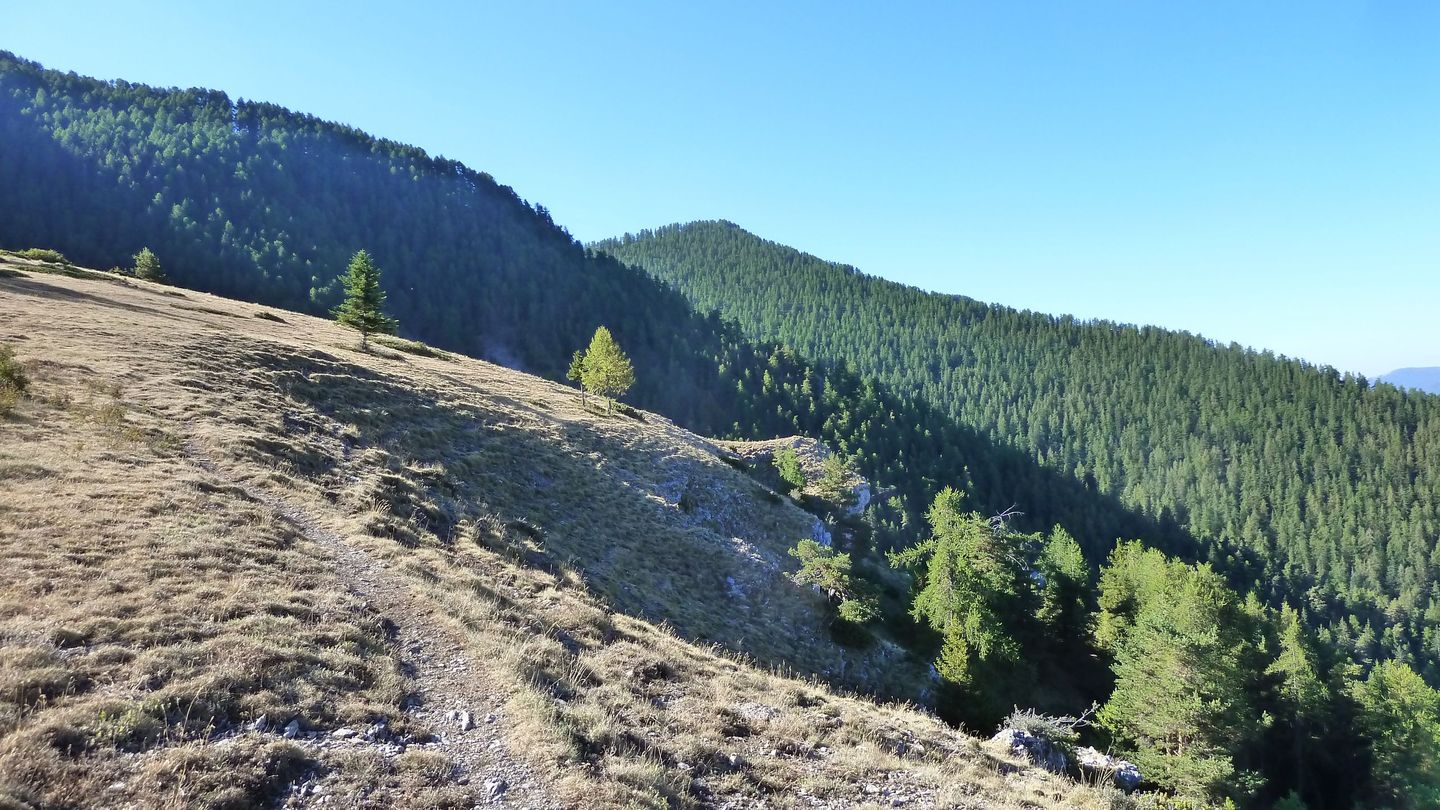 couguyon_2017_112.JPG
