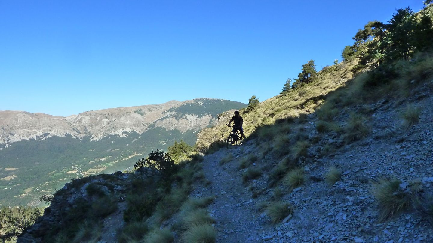 couguyon_2017_148.JPG