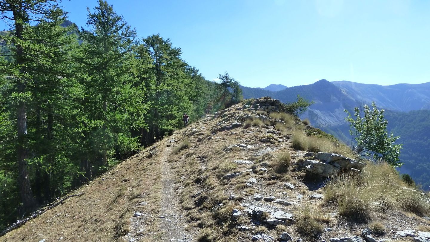 couguyon_2017_250.JPG