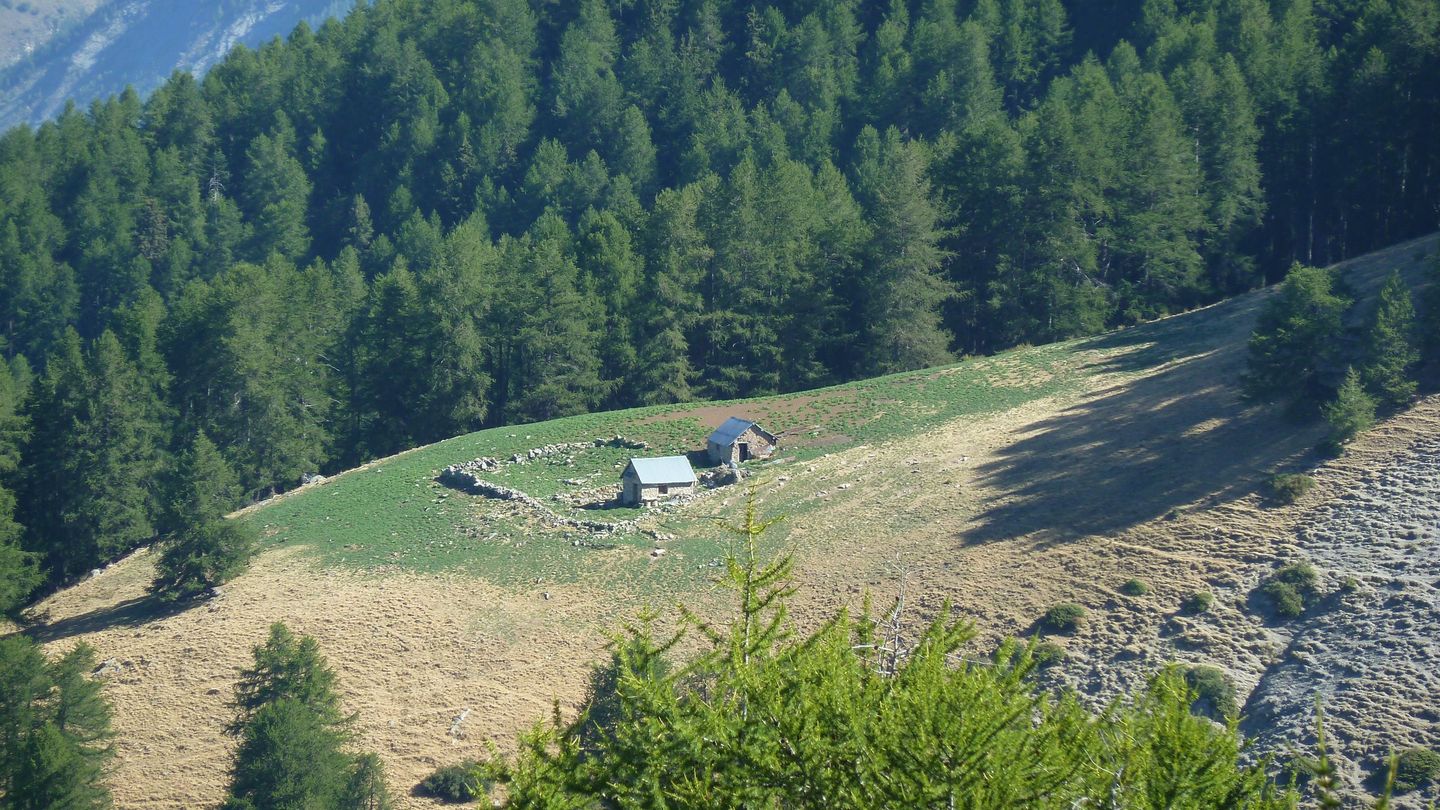 couguyon_2017_280.JPG