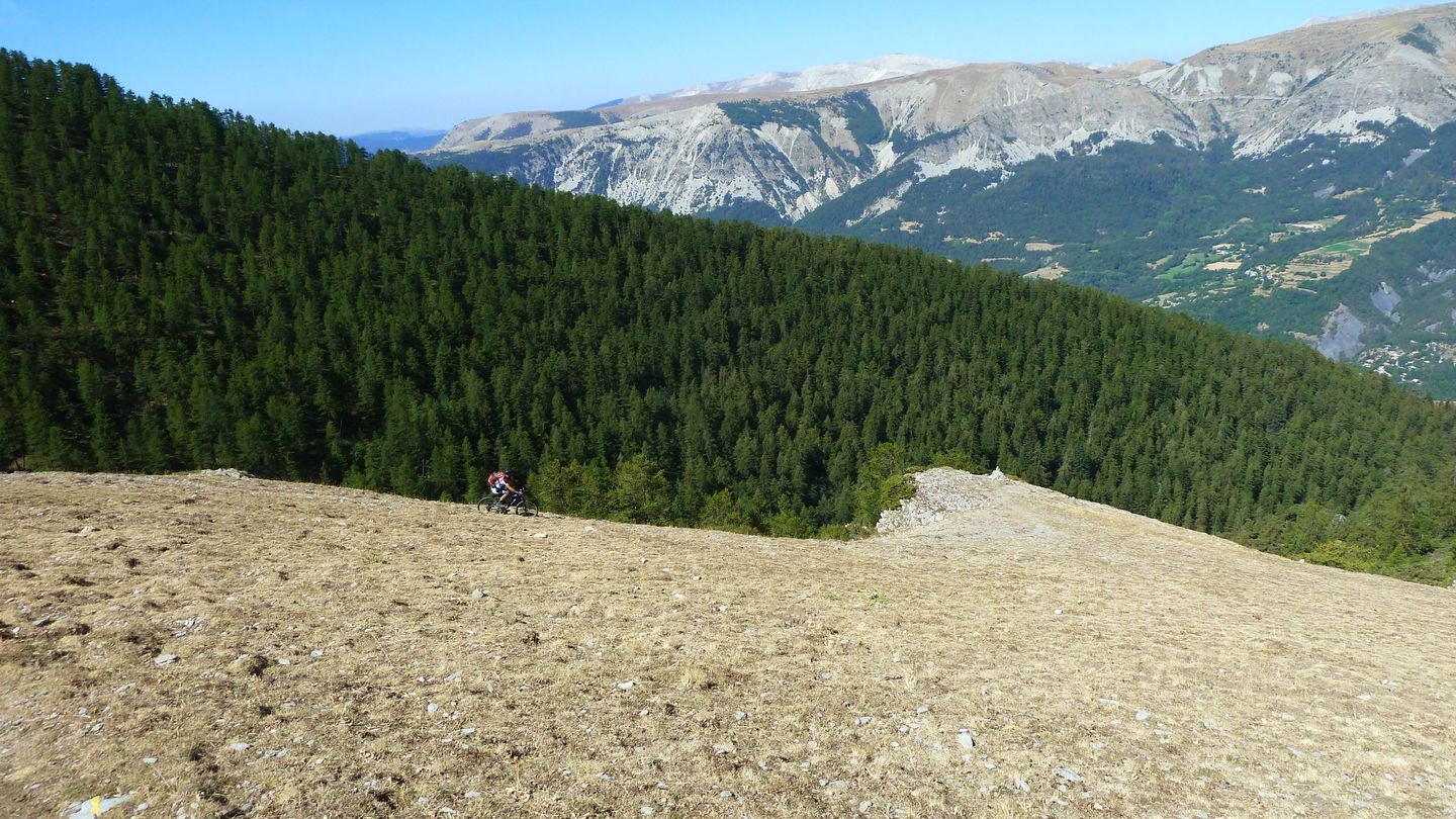 couguyon_2017_352.JPG