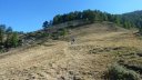 couguyon_2017_205.JPG