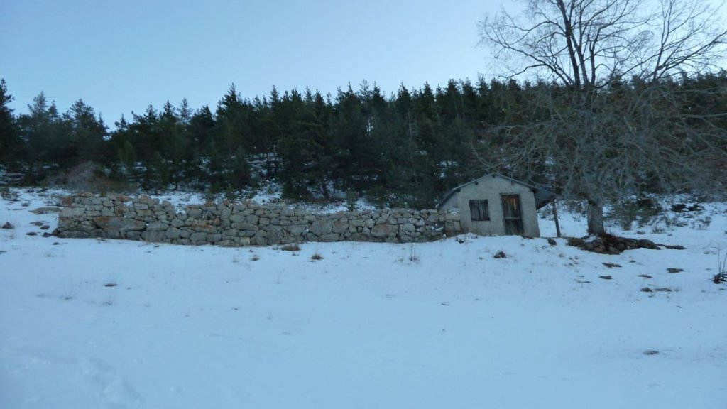 P1100891.JPG