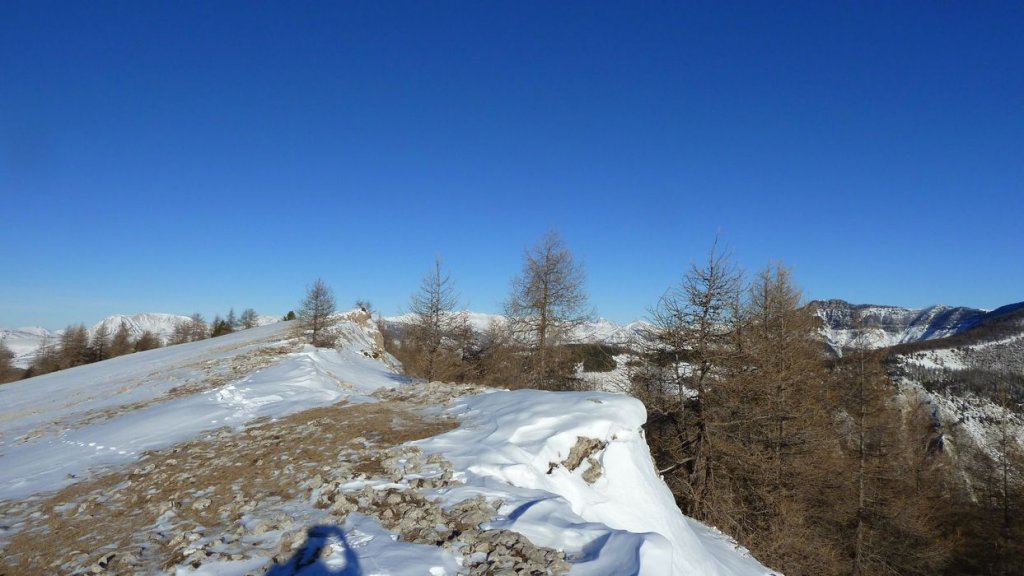 P1100914.JPG
