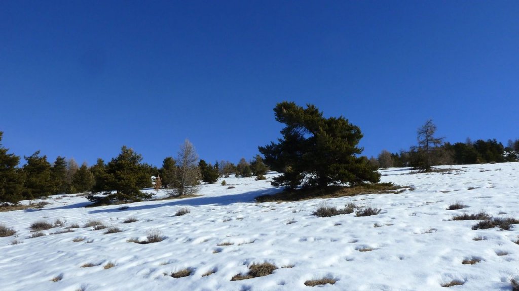 P1160896.JPG