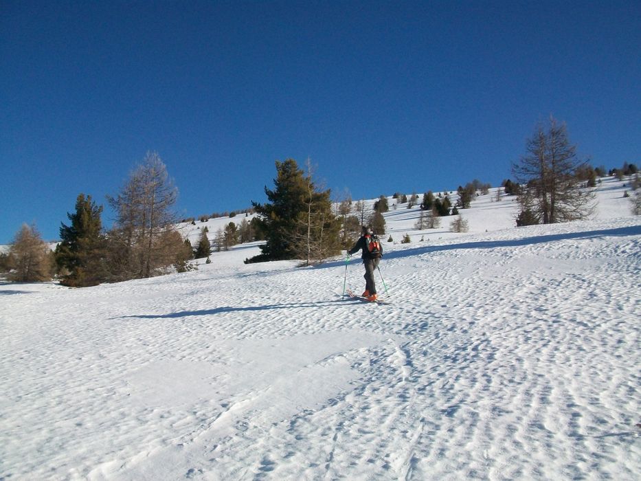 couradour_mars_2015_033.jpg