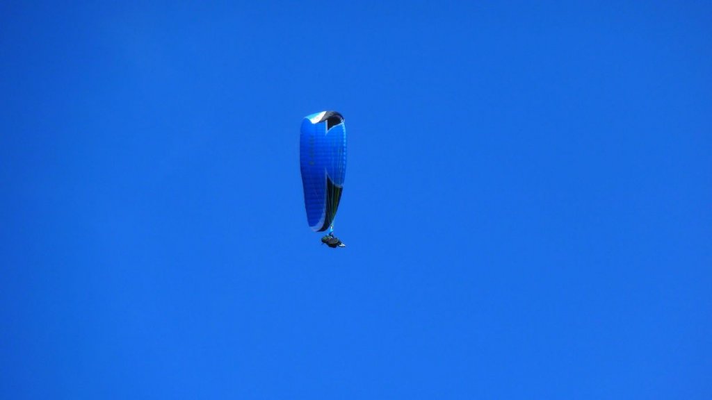 P1100817.JPG