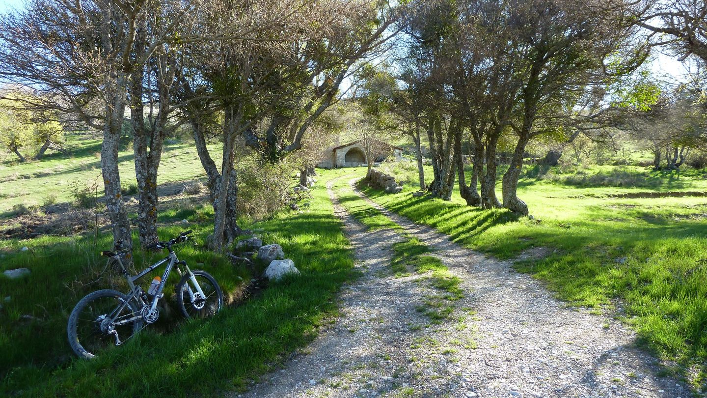 courchons-morietz_avr_2017_033.JPG