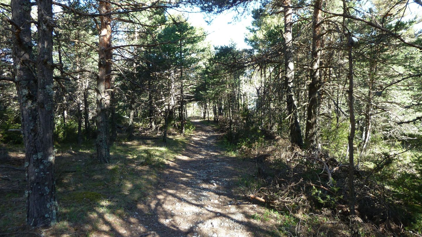 courchons-morietz_avr_2017_037.JPG
