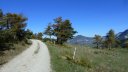 courchons-morietz_avr_2017_019.JPG